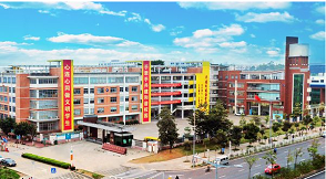 平湖外國語學校防雷整改工程